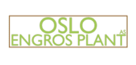 Oslo engro plant