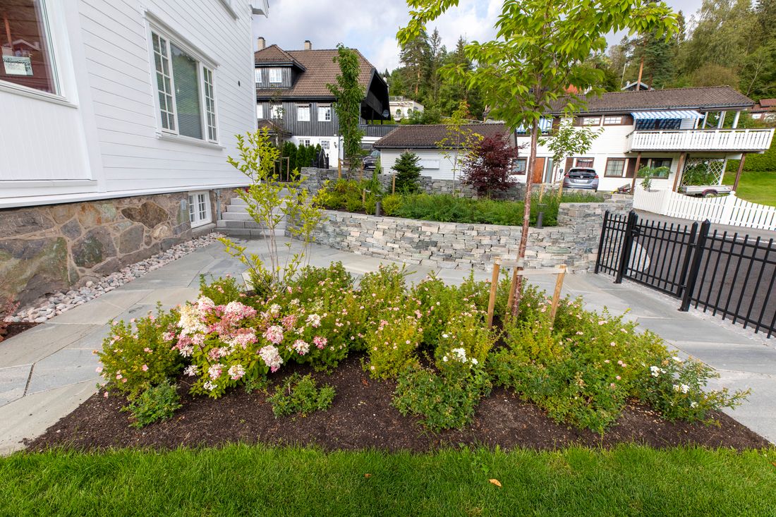 Beplantning i bed