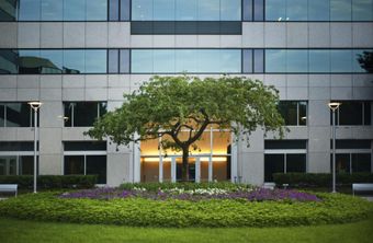 Et pent stort blomsterbed med mange planter og et tre utenfor et stort kontorbygg 
