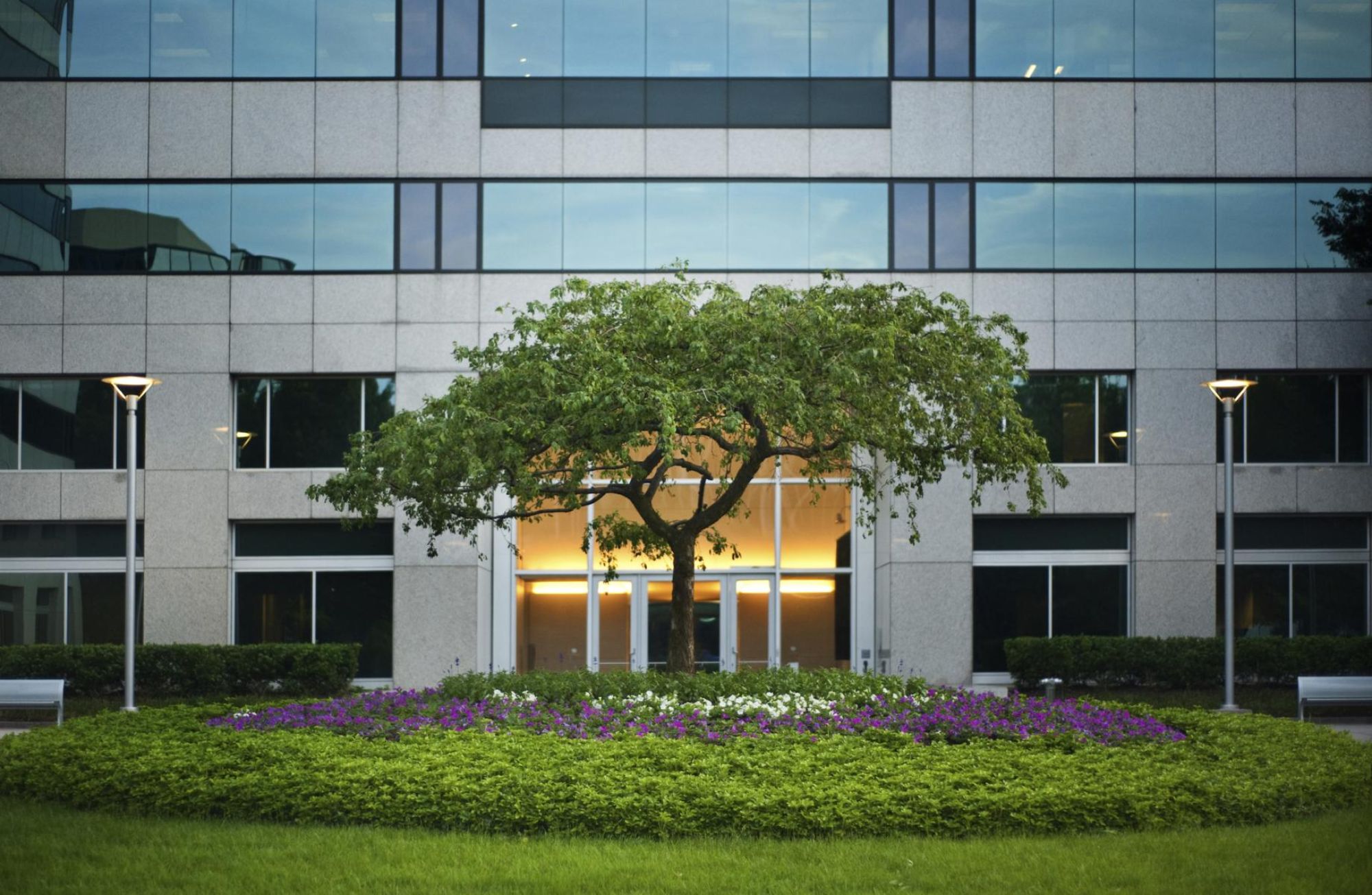 Et pent stort blomsterbed med mange planter og et tre utenfor et stort kontorbygg 